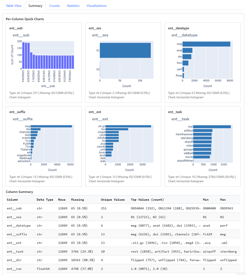 Summary tab with per-column quick charts above the Column Summary table